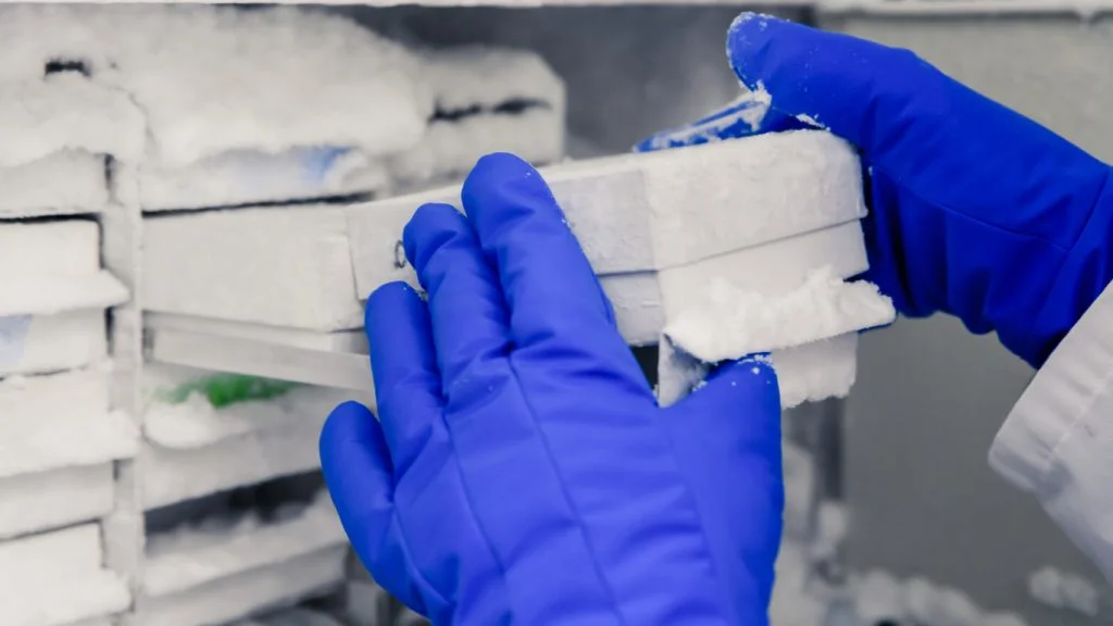 Médicaments en chambre froide